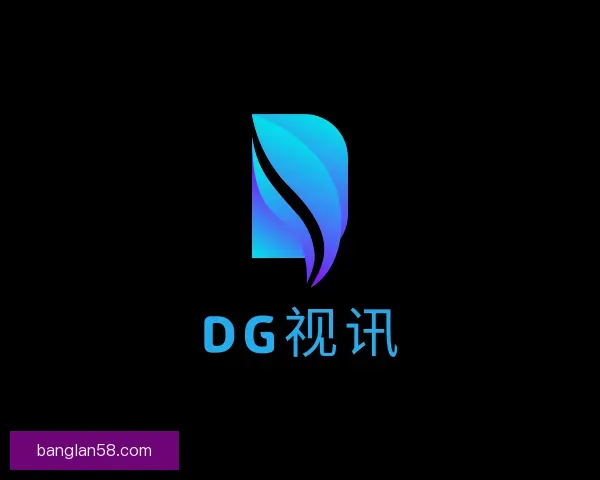 了解DG视讯